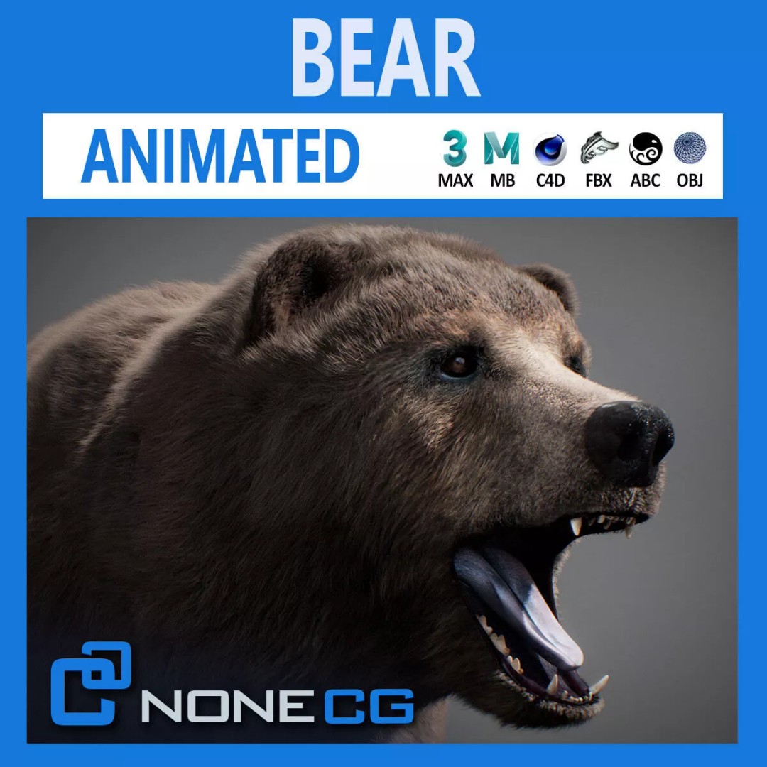 Animated Bear 3D Model – Rigged Game-Ready Asset, FBX, OBJ - View 2