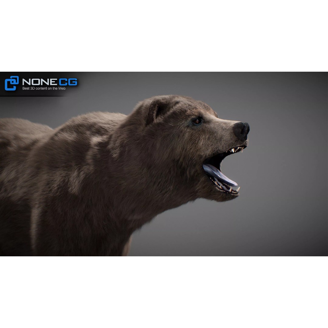 Animated Bear 3D Model – Rigged Game-Ready Asset, FBX, OBJ - View 20