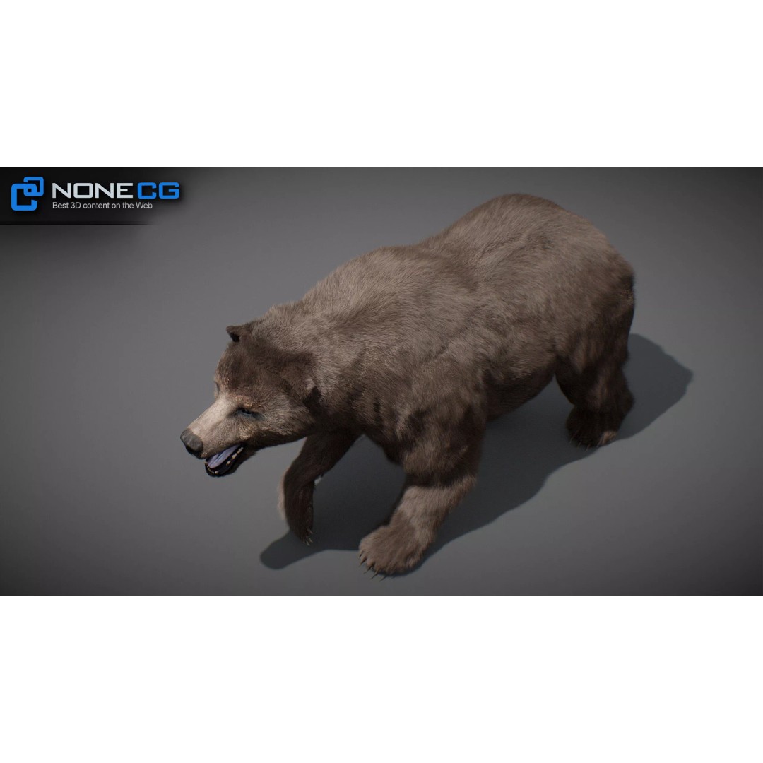 Animated Bear 3D Model – Rigged Game-Ready Asset, FBX, OBJ - View 22