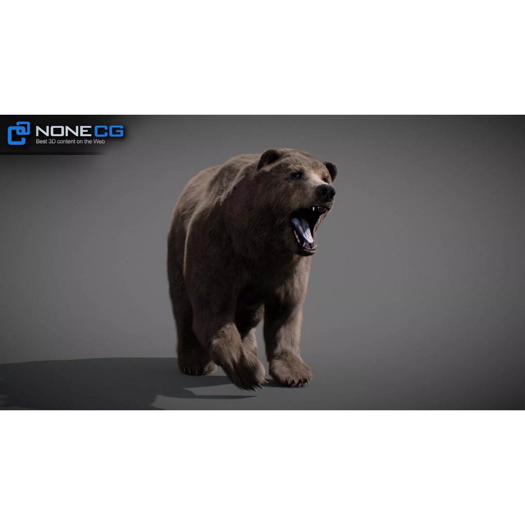 Animated Bear 3D Model – Rigged Game-Ready Asset, FBX, OBJ - View 23