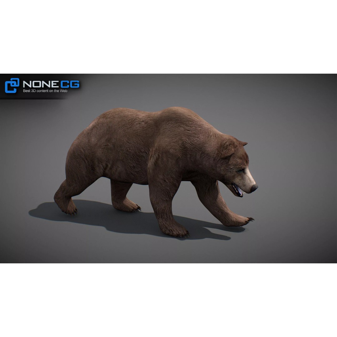 Animated Bear 3D Model – Rigged Game-Ready Asset, FBX, OBJ - View 24