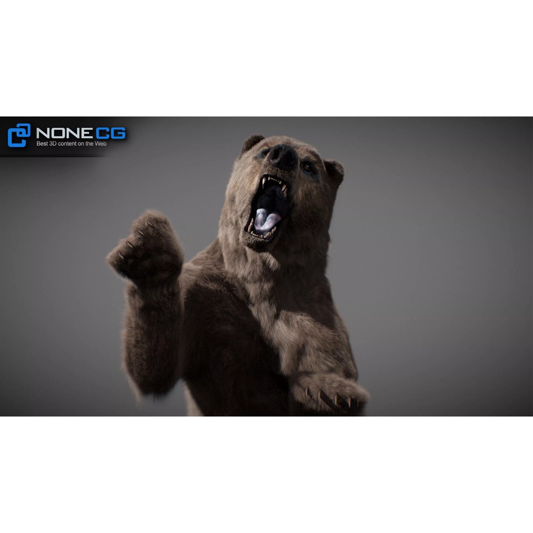 Animated Bear 3D Model – Rigged Game-Ready Asset, FBX, OBJ - View 4