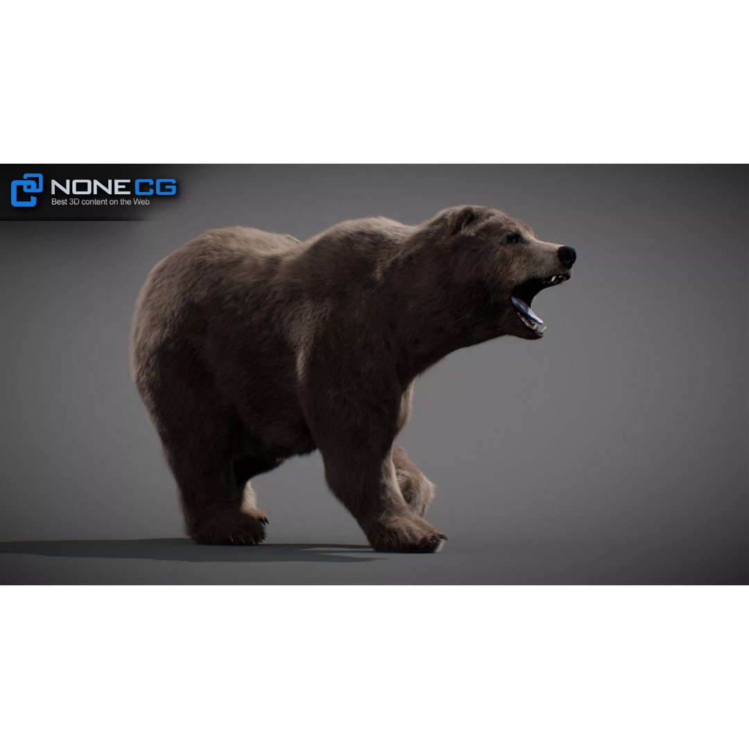 Animated Bear 3D Model – Rigged Game-Ready Asset, FBX, OBJ - View 5