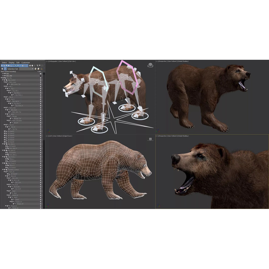 Animated Bear 3D Model – Rigged Game-Ready Asset, FBX, OBJ - View 6