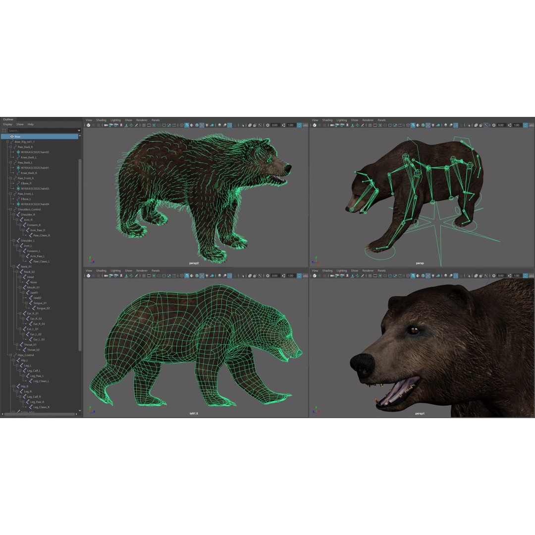 Animated Bear 3D Model – Rigged Game-Ready Asset, FBX, OBJ - View 7