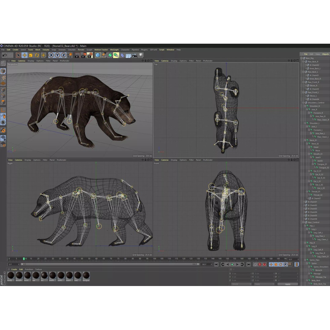 Animated Bear 3D Model – Rigged Game-Ready Asset, FBX, OBJ - View 8