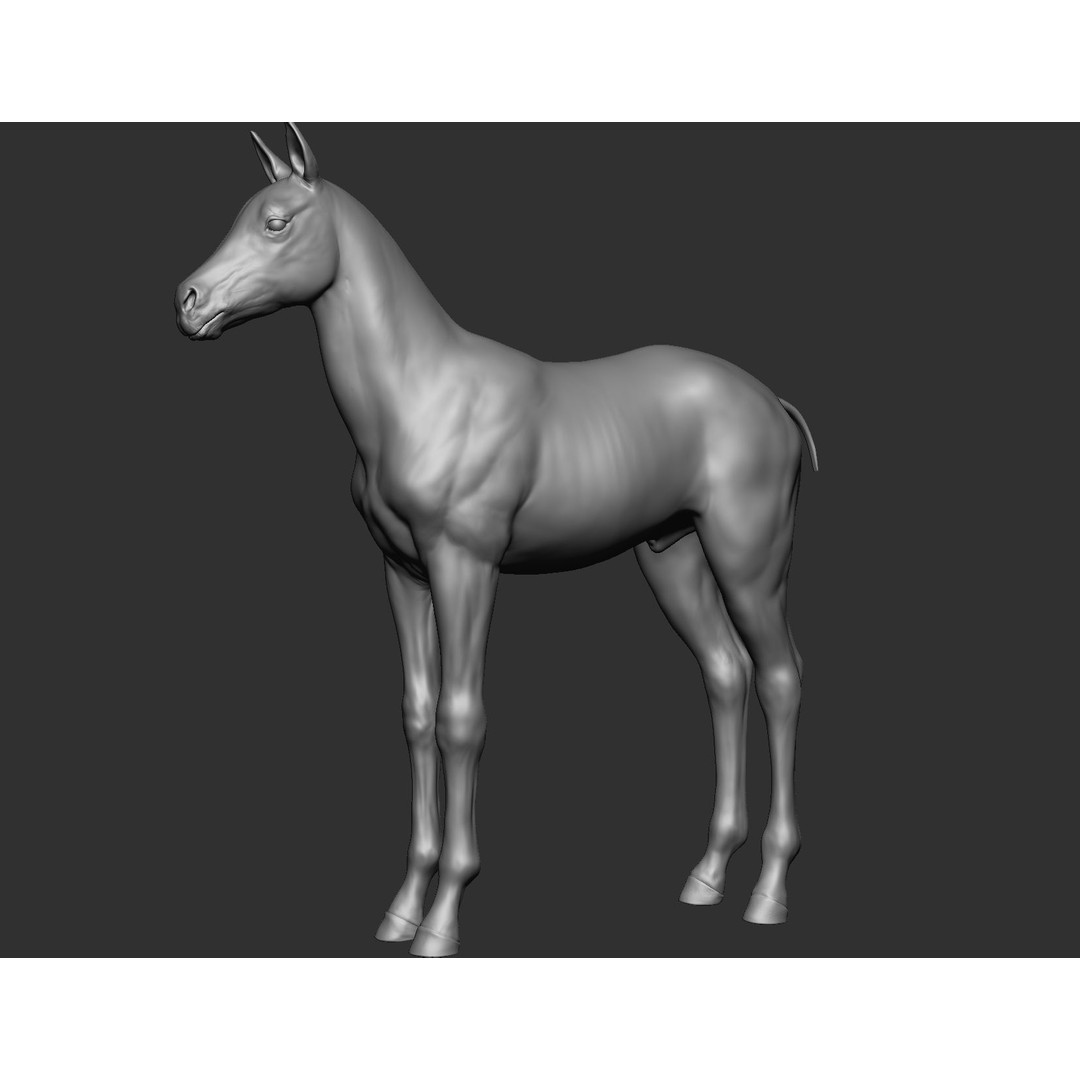 Domestic Baby Animals 3D Model – Realistic Farm Animals, OBJ & ZTL - View 10