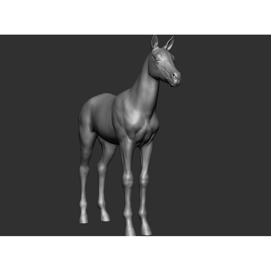 Domestic Baby Animals 3D Model – Realistic Farm Animals, OBJ & ZTL - View 11
