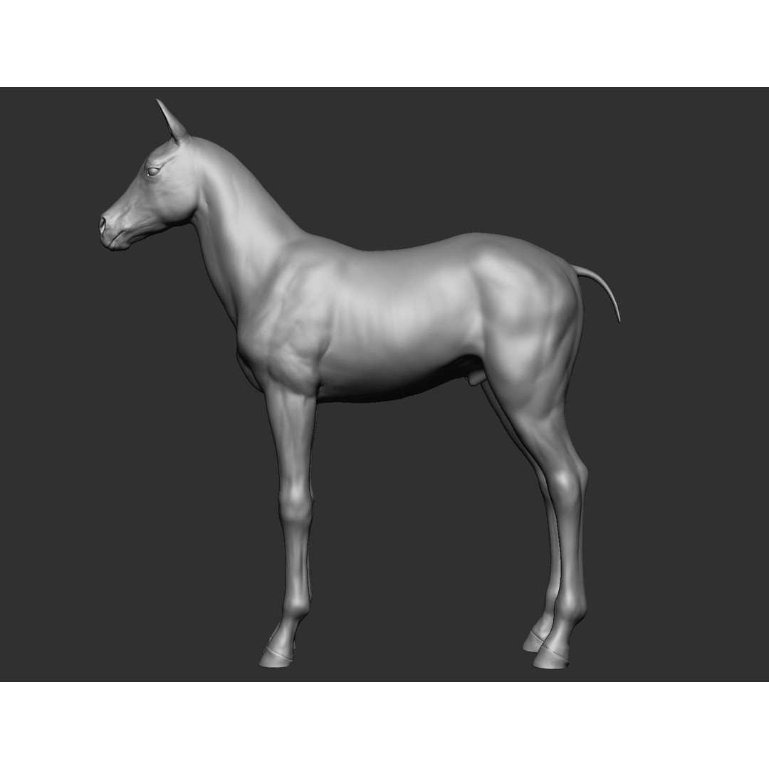 Domestic Baby Animals 3D Model – Realistic Farm Animals, OBJ & ZTL - View 12