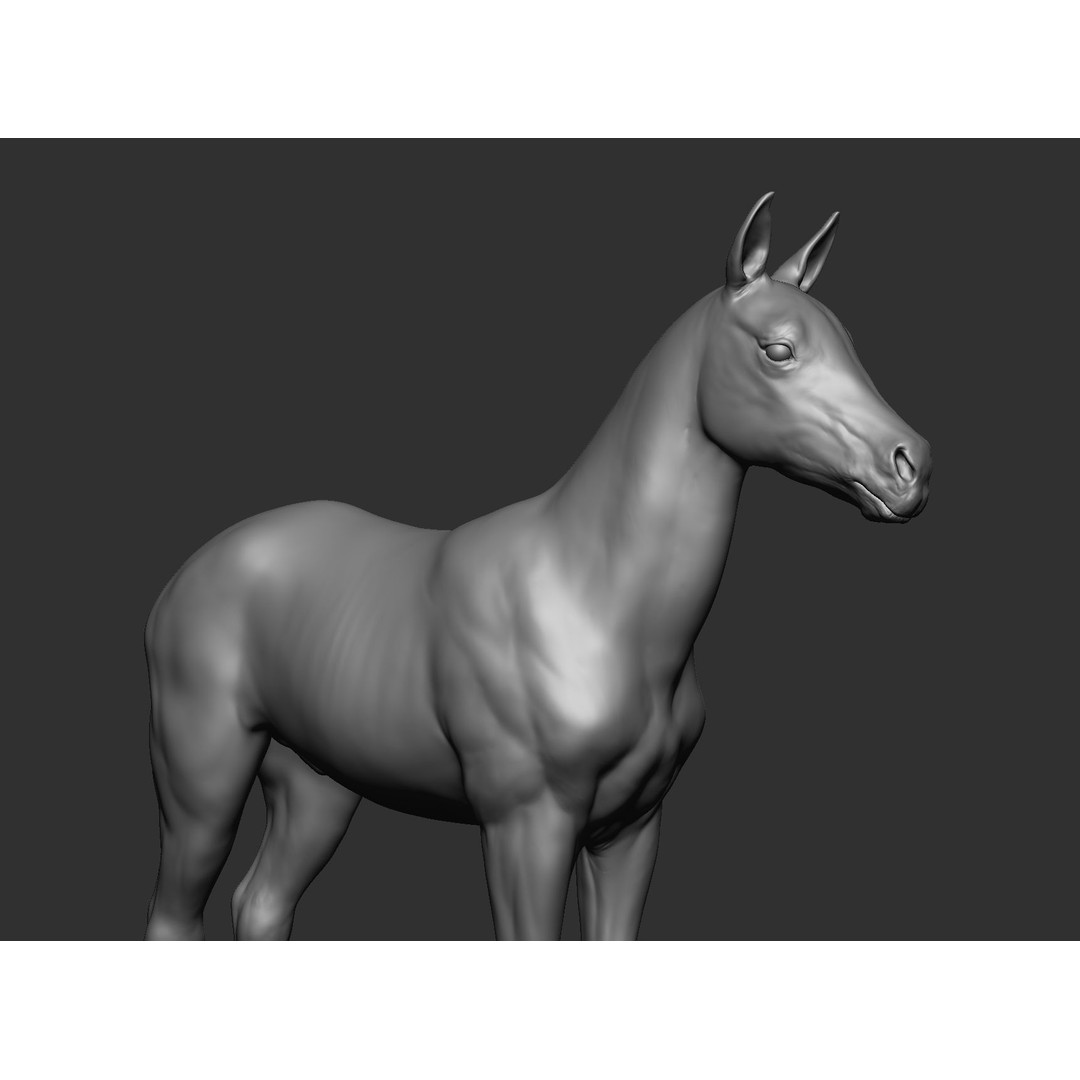 Domestic Baby Animals 3D Model – Realistic Farm Animals, OBJ & ZTL - View 13