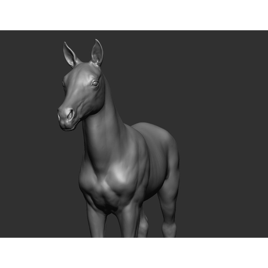 Domestic Baby Animals 3D Model – Realistic Farm Animals, OBJ & ZTL - View 14
