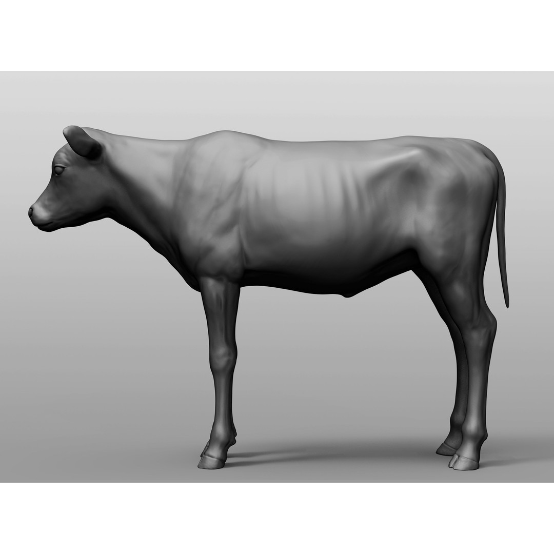 Domestic Baby Animals 3D Model – Realistic Farm Animals, OBJ & ZTL - View 16