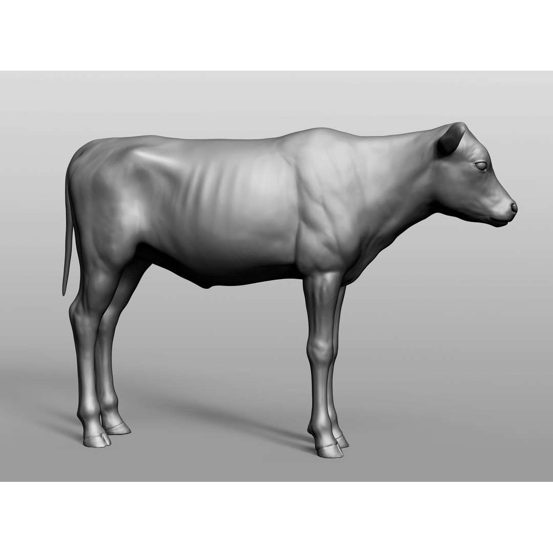 Domestic Baby Animals 3D Model – Realistic Farm Animals, OBJ & ZTL - View 18