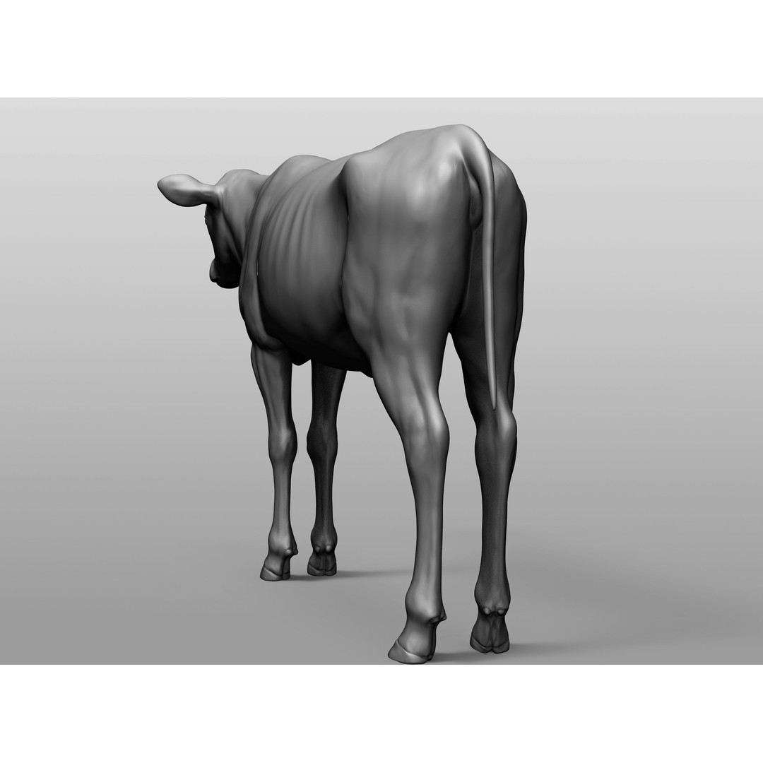 Domestic Baby Animals 3D Model – Realistic Farm Animals, OBJ & ZTL - View 19