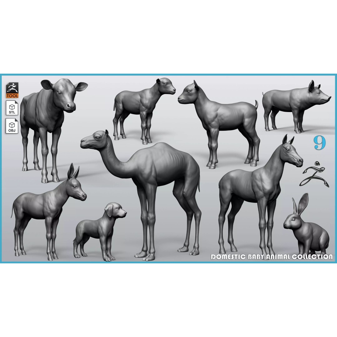 Domestic Baby Animals 3D Model – Realistic Farm Animals, OBJ & ZTL - View 2