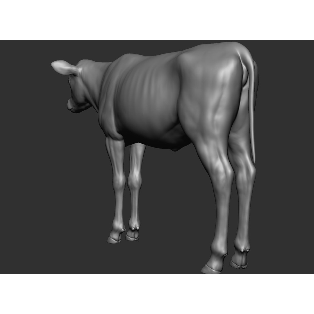 Domestic Baby Animals 3D Model – Realistic Farm Animals, OBJ & ZTL - View 24