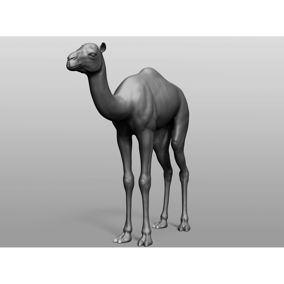 Domestic Baby Animals 3D Model – Realistic Farm Animals, OBJ & ZTL - View 27