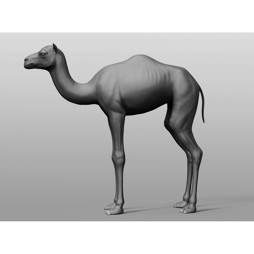Domestic Baby Animals 3D Model – Realistic Farm Animals, OBJ & ZTL - View 28