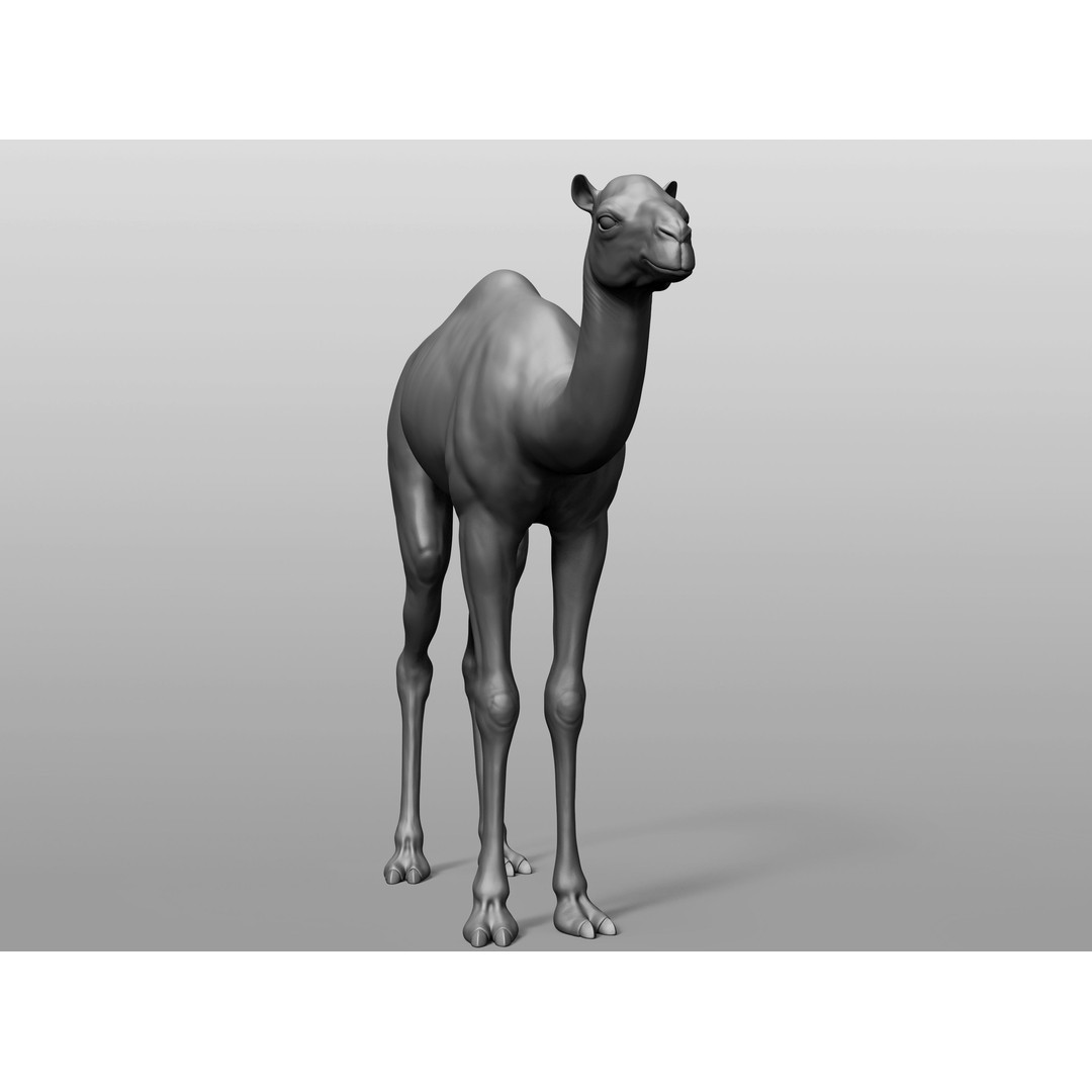 Domestic Baby Animals 3D Model – Realistic Farm Animals, OBJ & ZTL - View 29