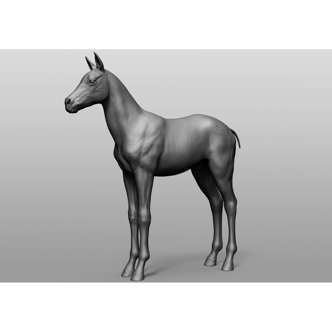 Domestic Baby Animals 3D Model – Realistic Farm Animals, OBJ & ZTL - View 3