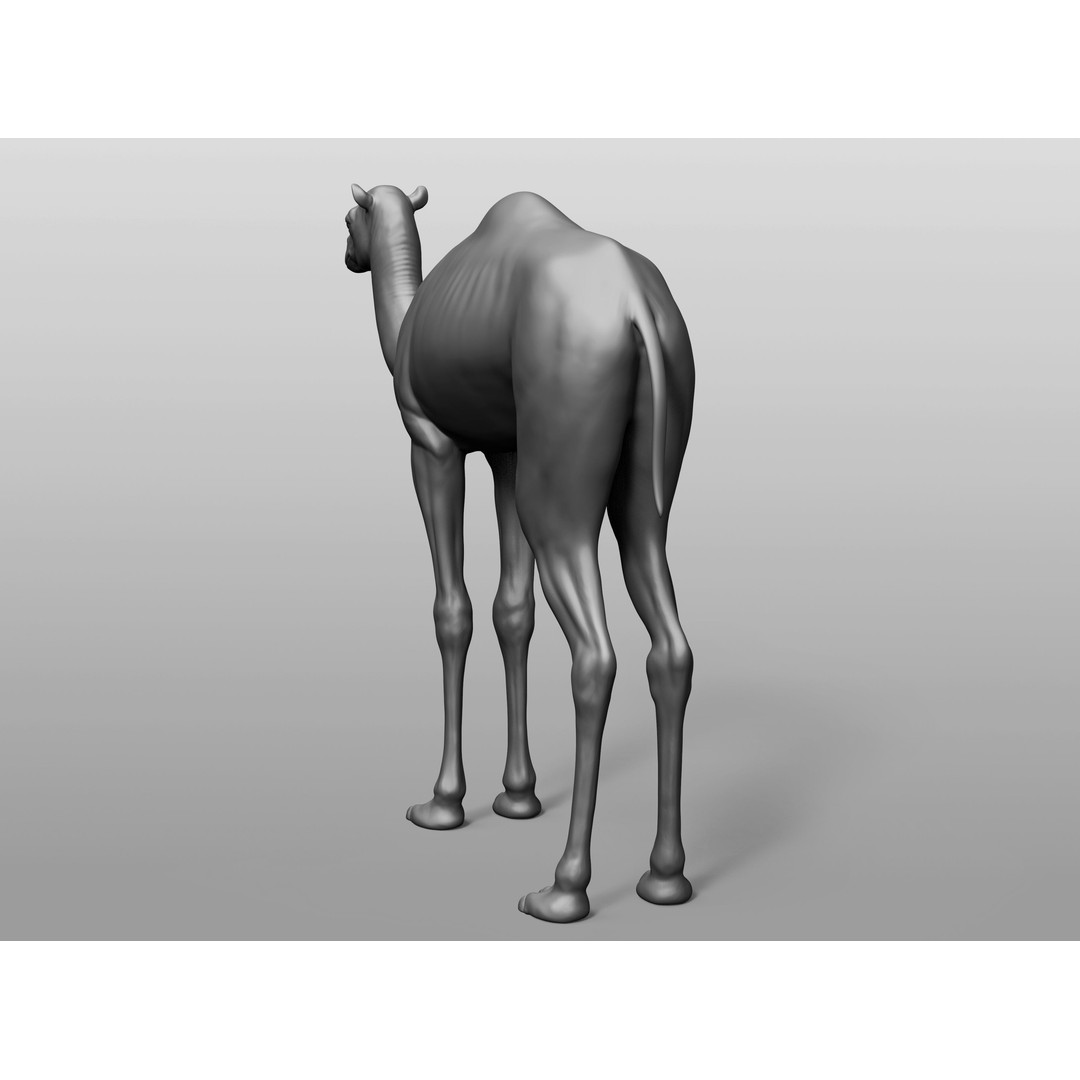 Domestic Baby Animals 3D Model – Realistic Farm Animals, OBJ & ZTL - View 30