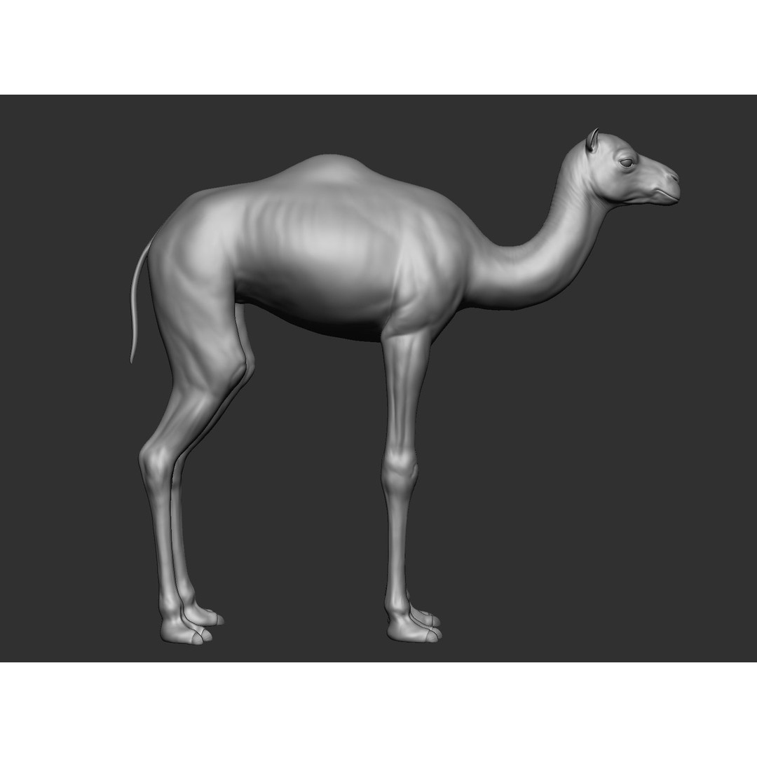 Domestic Baby Animals 3D Model – Realistic Farm Animals, OBJ & ZTL - View 31