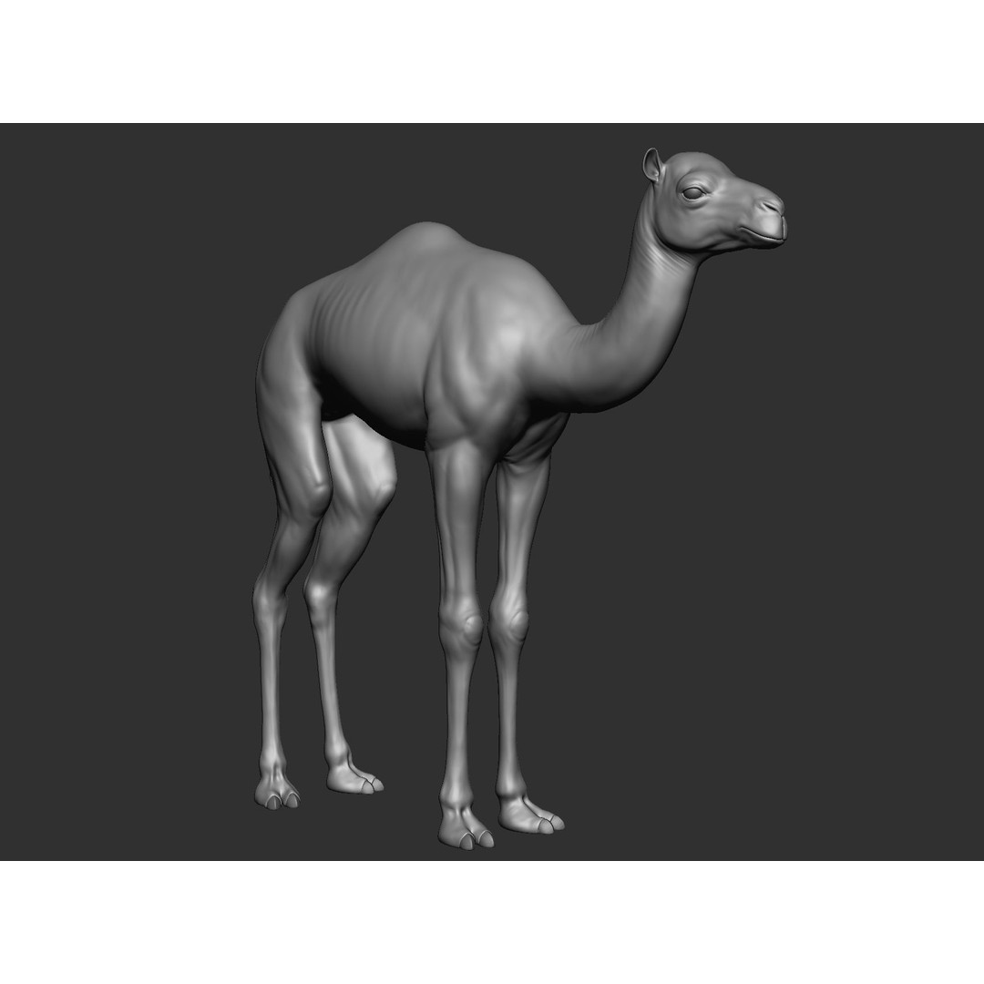 Domestic Baby Animals 3D Model – Realistic Farm Animals, OBJ & ZTL - View 32