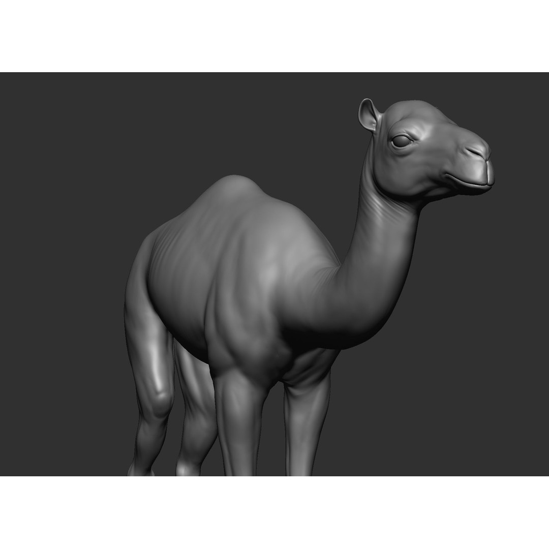 Domestic Baby Animals 3D Model – Realistic Farm Animals, OBJ & ZTL - View 33