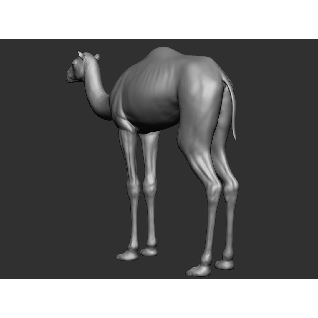 Domestic Baby Animals 3D Model – Realistic Farm Animals, OBJ & ZTL - View 34