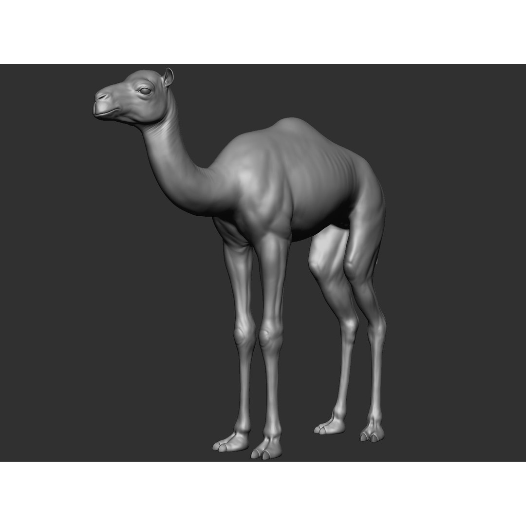 Domestic Baby Animals 3D Model – Realistic Farm Animals, OBJ & ZTL - View 35