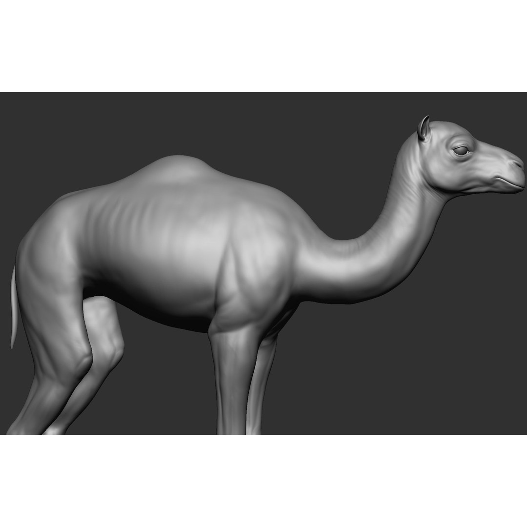 Domestic Baby Animals 3D Model – Realistic Farm Animals, OBJ & ZTL - View 36