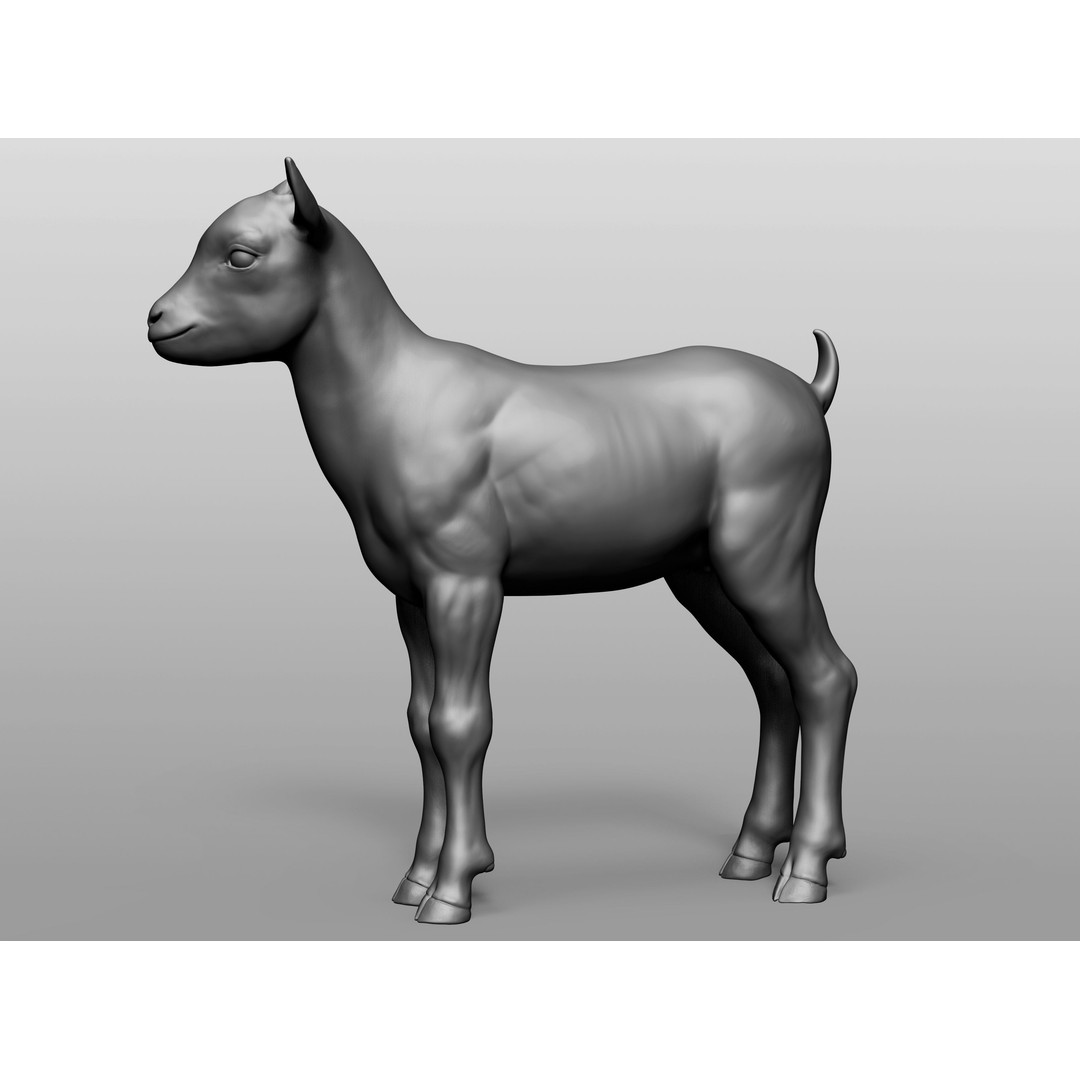 Domestic Baby Animals 3D Model – Realistic Farm Animals, OBJ & ZTL - View 37