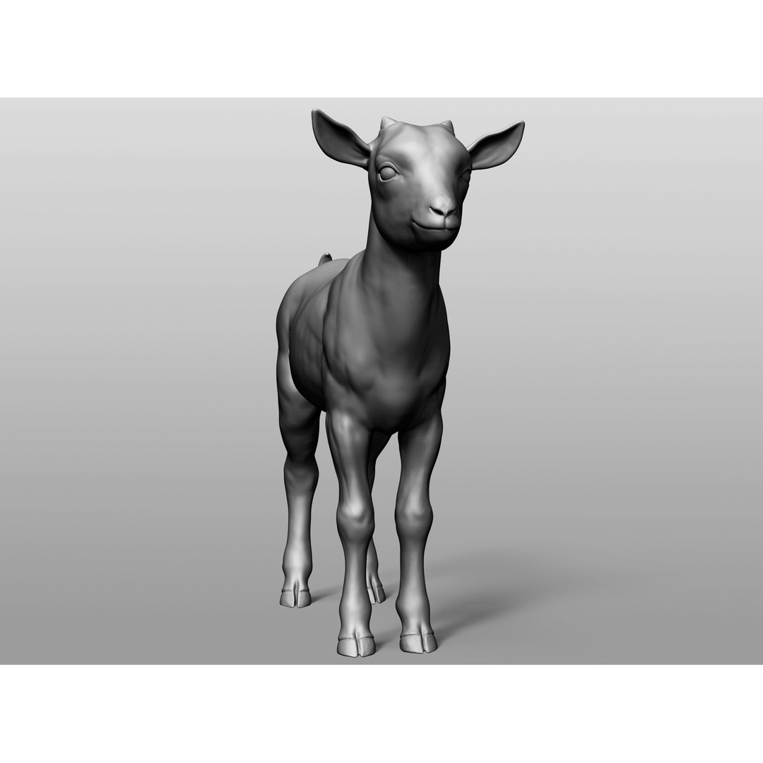 Domestic Baby Animals 3D Model – Realistic Farm Animals, OBJ & ZTL - View 38