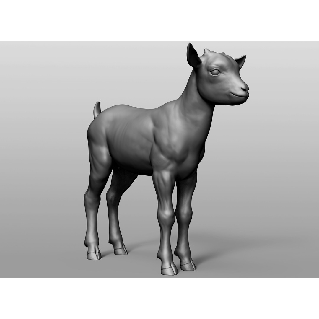 Domestic Baby Animals 3D Model – Realistic Farm Animals, OBJ & ZTL - View 39