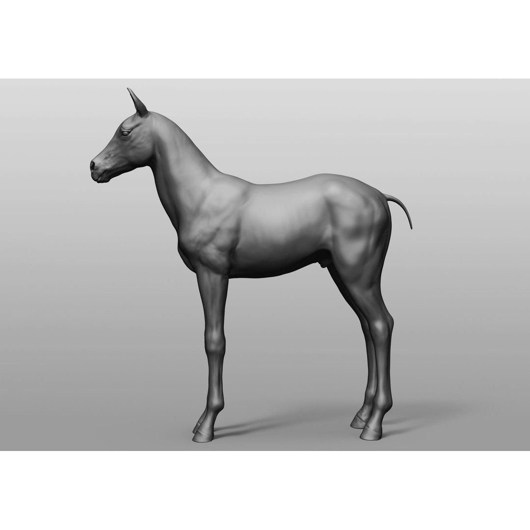 Domestic Baby Animals 3D Model – Realistic Farm Animals, OBJ & ZTL - View 4