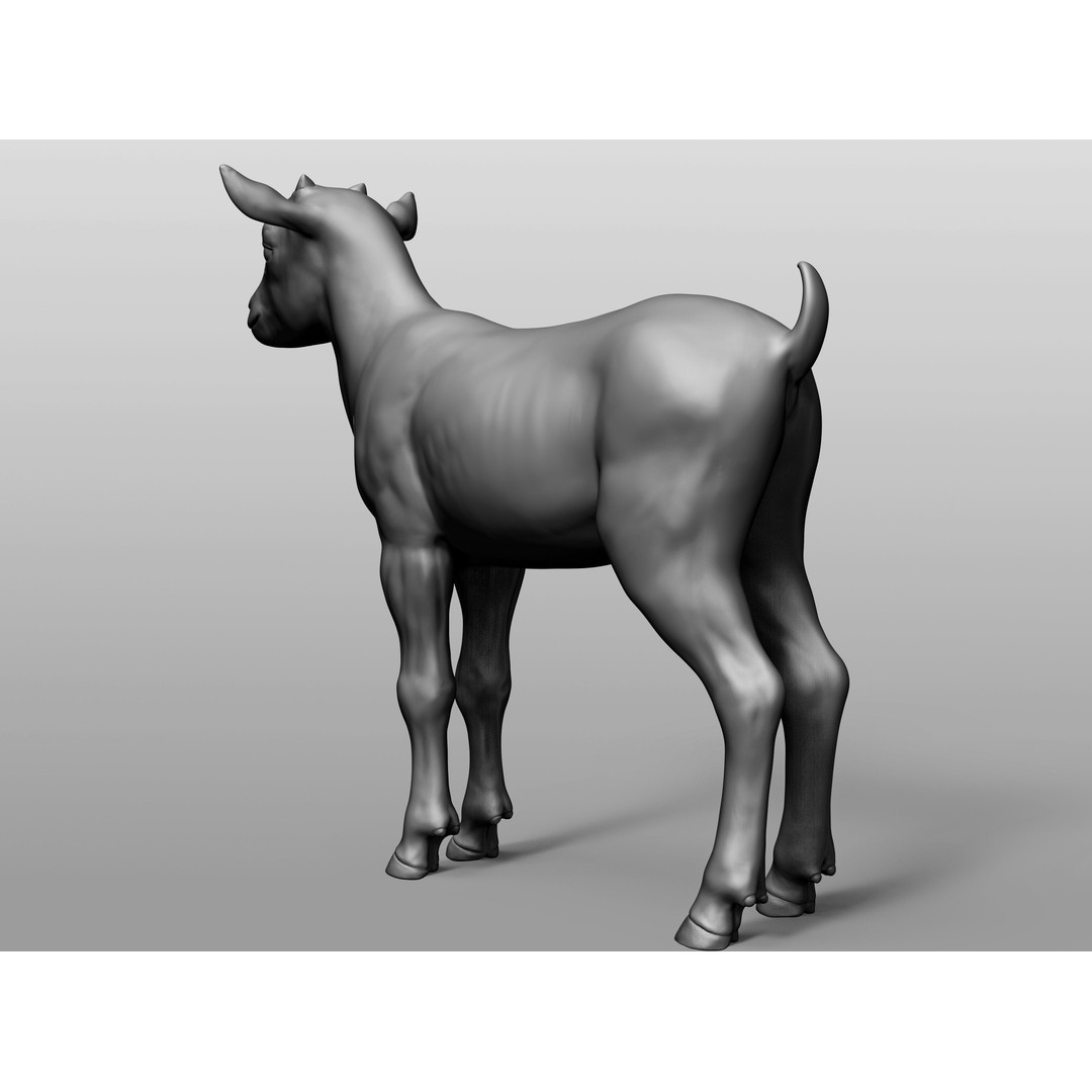 Domestic Baby Animals 3D Model – Realistic Farm Animals, OBJ & ZTL - View 40