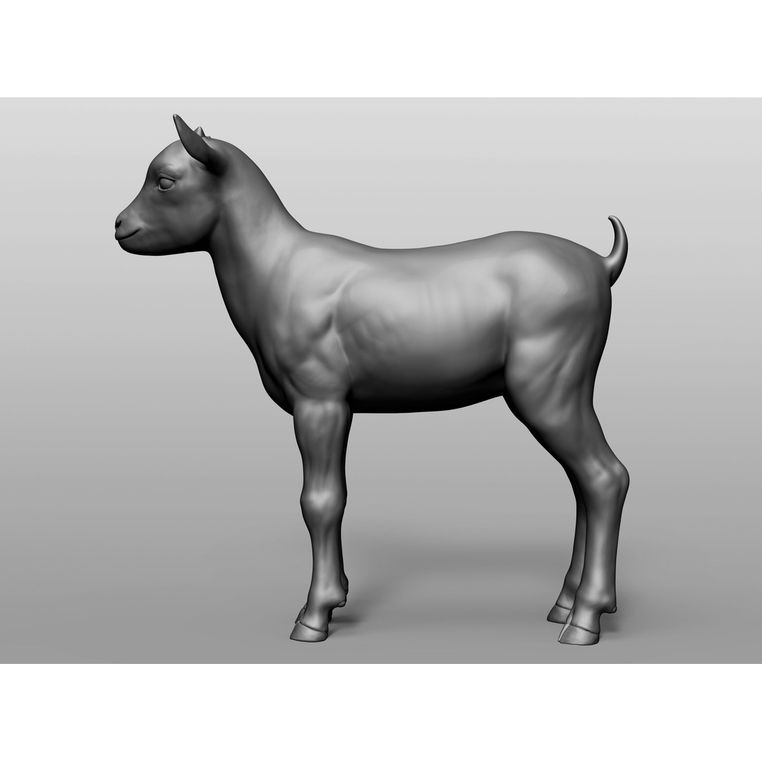 Domestic Baby Animals 3D Model – Realistic Farm Animals, OBJ & ZTL - View 41