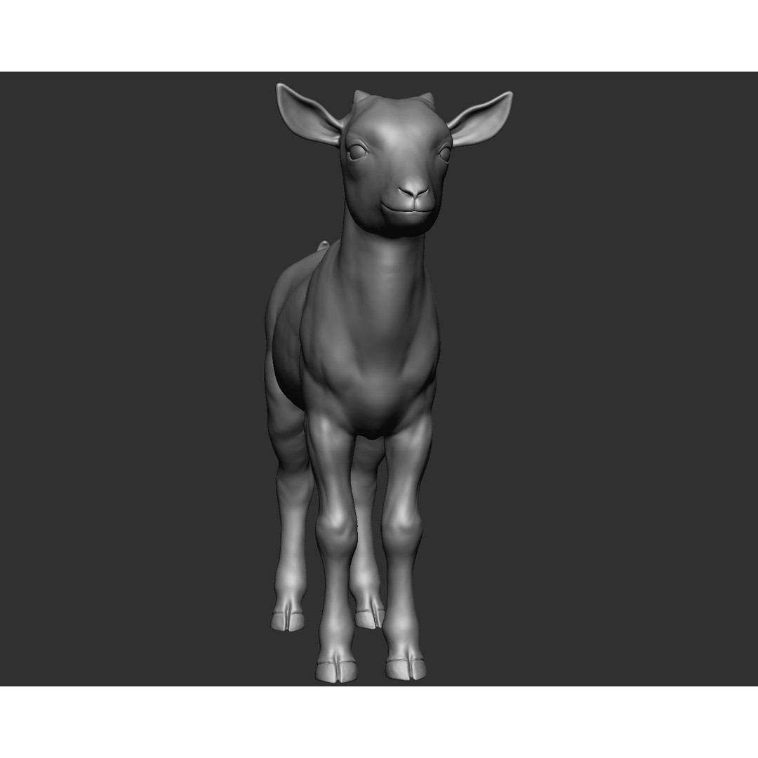 Domestic Baby Animals 3D Model – Realistic Farm Animals, OBJ & ZTL - View 42
