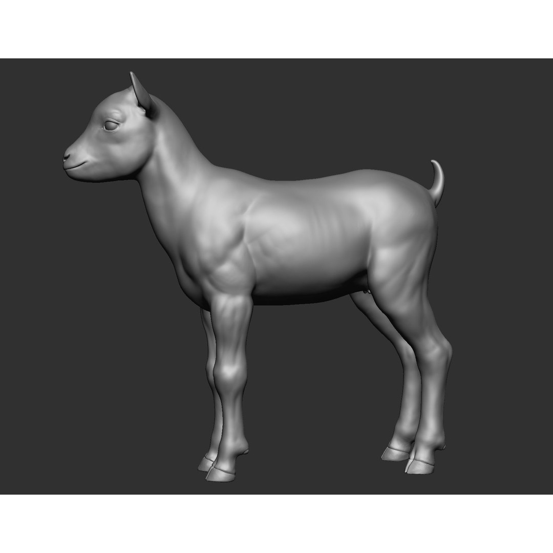 Domestic Baby Animals 3D Model – Realistic Farm Animals, OBJ & ZTL - View 43