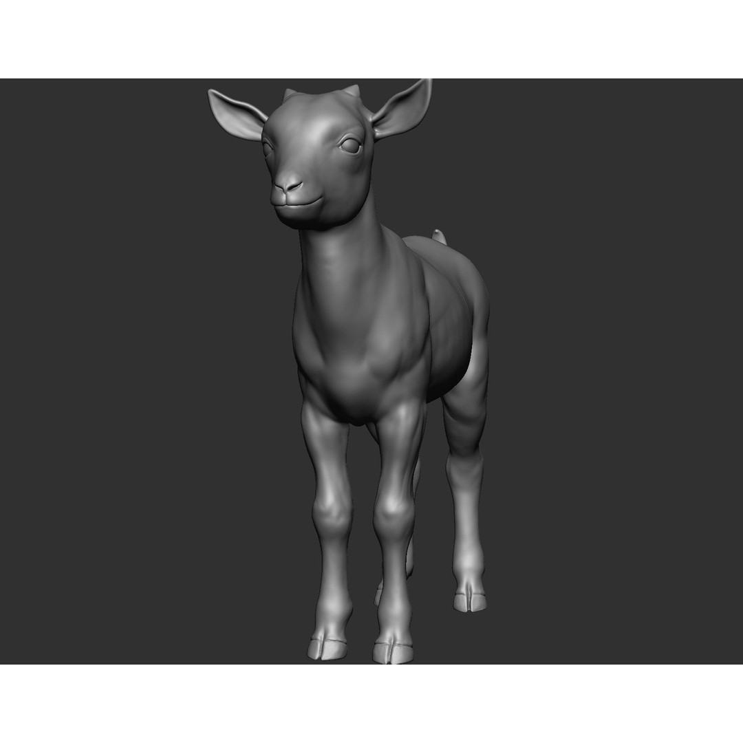 Domestic Baby Animals 3D Model – Realistic Farm Animals, OBJ & ZTL - View 44