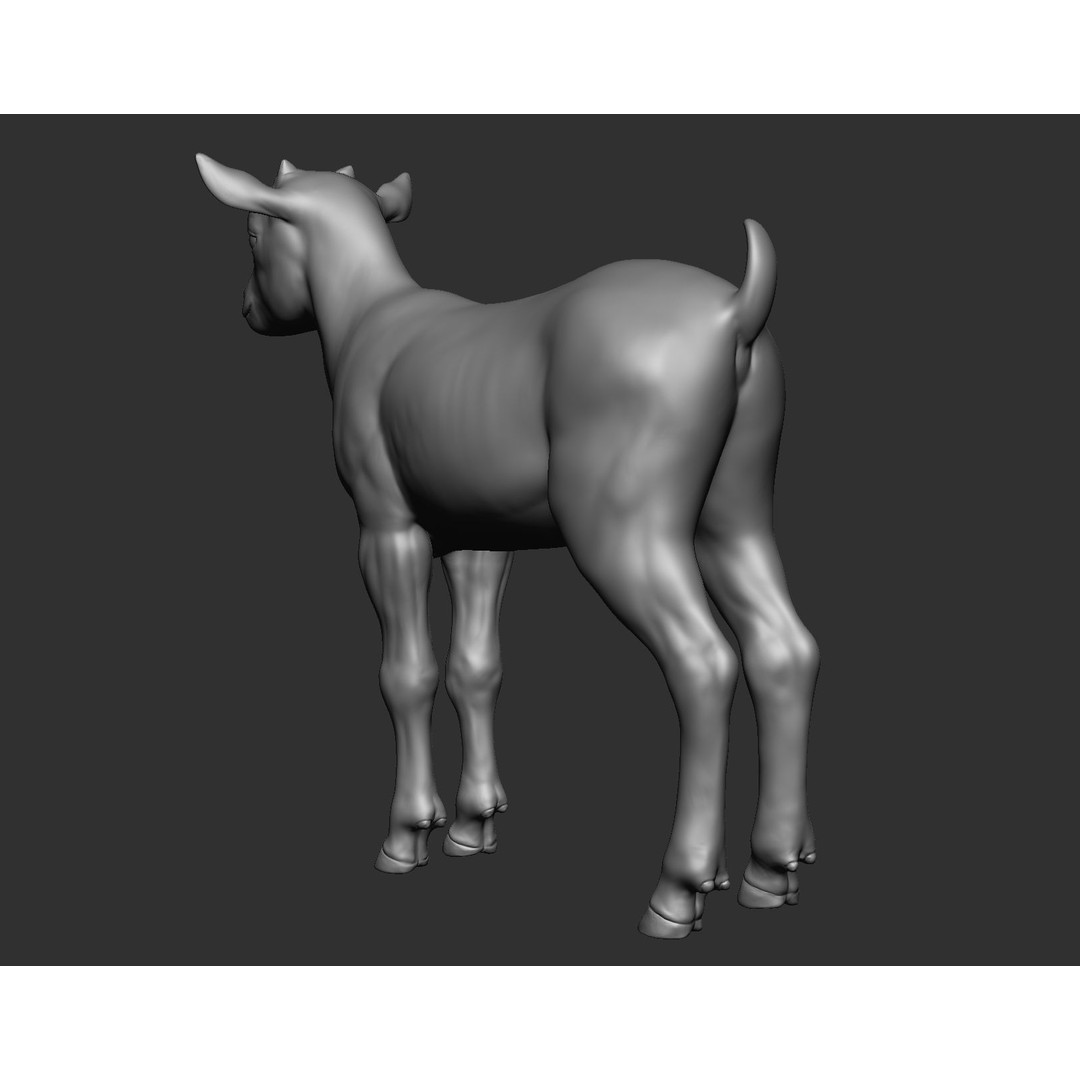 Domestic Baby Animals 3D Model – Realistic Farm Animals, OBJ & ZTL - View 45