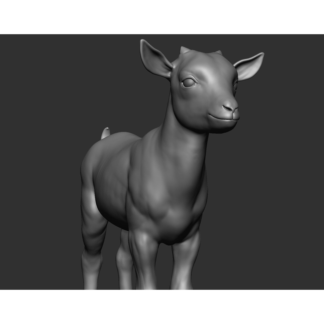 Domestic Baby Animals 3D Model – Realistic Farm Animals, OBJ & ZTL - View 46