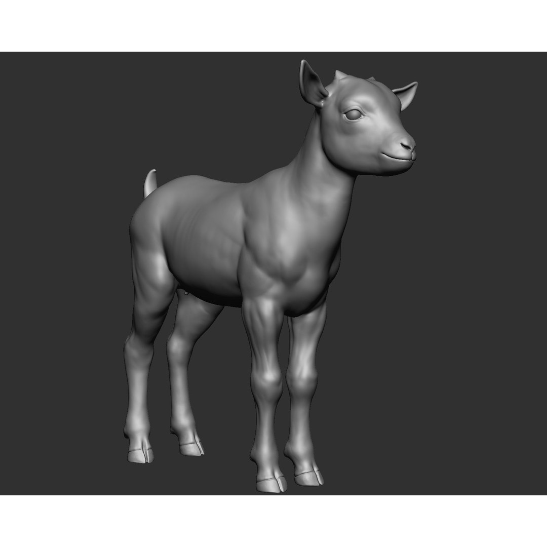 Domestic Baby Animals 3D Model – Realistic Farm Animals, OBJ & ZTL - View 47