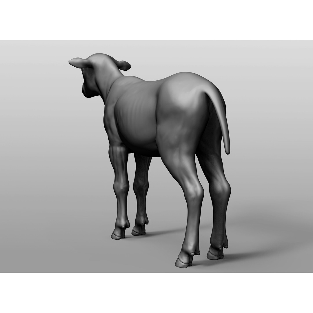 Domestic Baby Animals 3D Model – Realistic Farm Animals, OBJ & ZTL - View 49