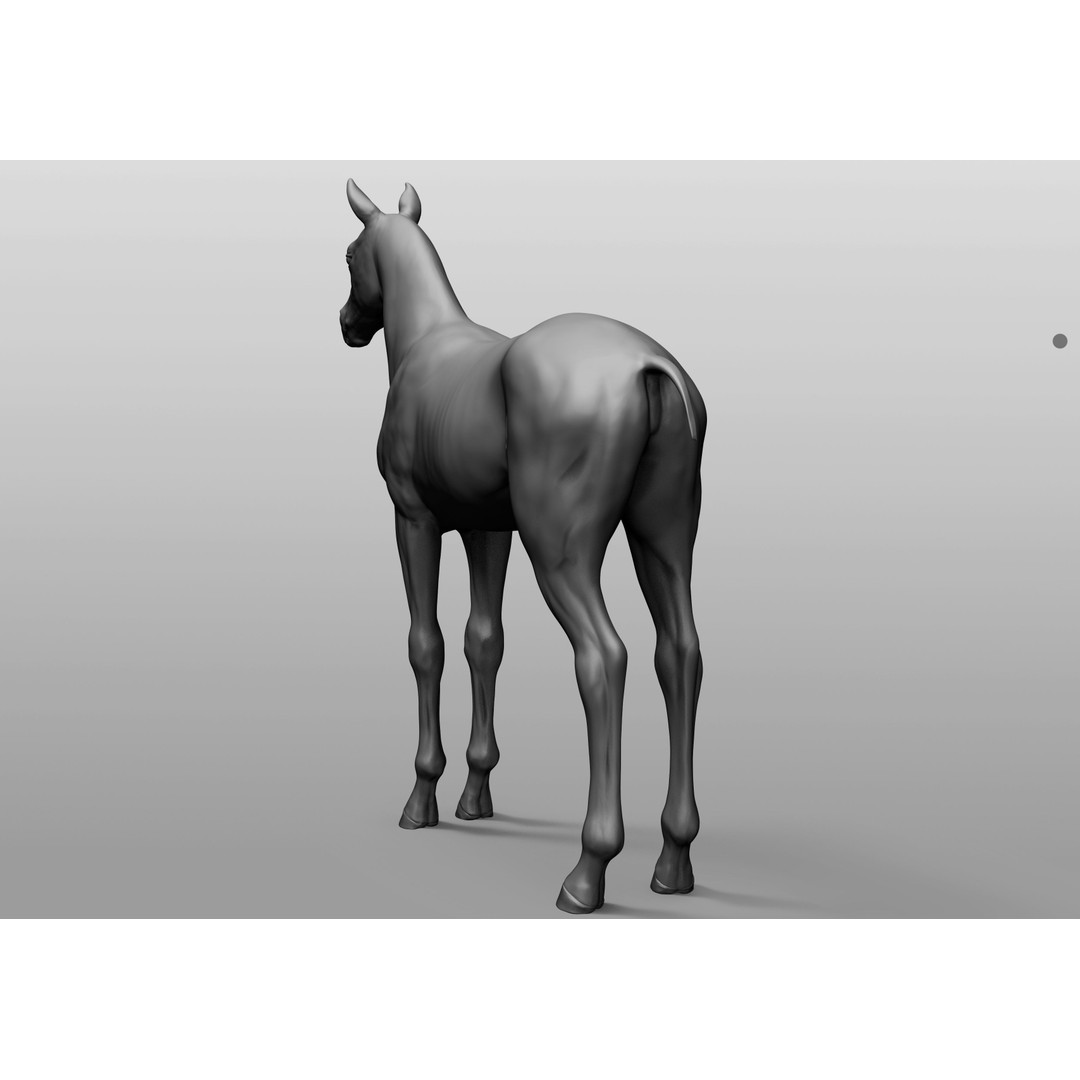 Domestic Baby Animals 3D Model – Realistic Farm Animals, OBJ & ZTL - View 5