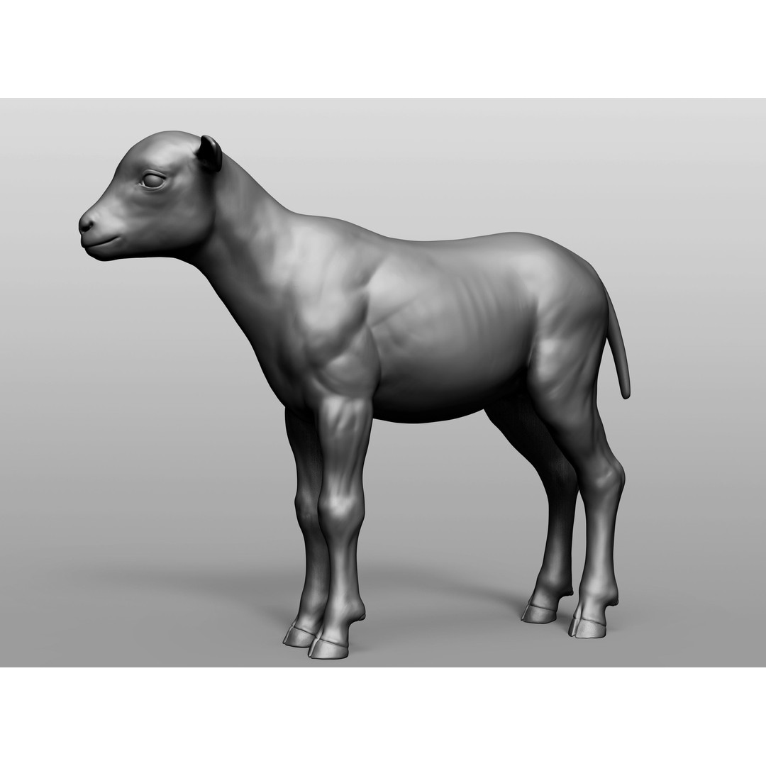 Domestic Baby Animals 3D Model – Realistic Farm Animals, OBJ & ZTL - View 50