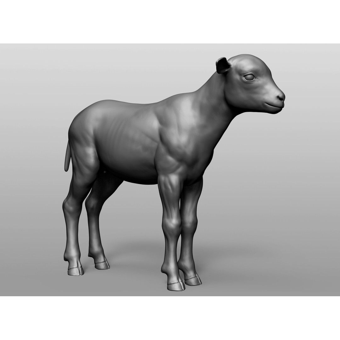 Domestic Baby Animals 3D Model – Realistic Farm Animals, OBJ & ZTL - View 51
