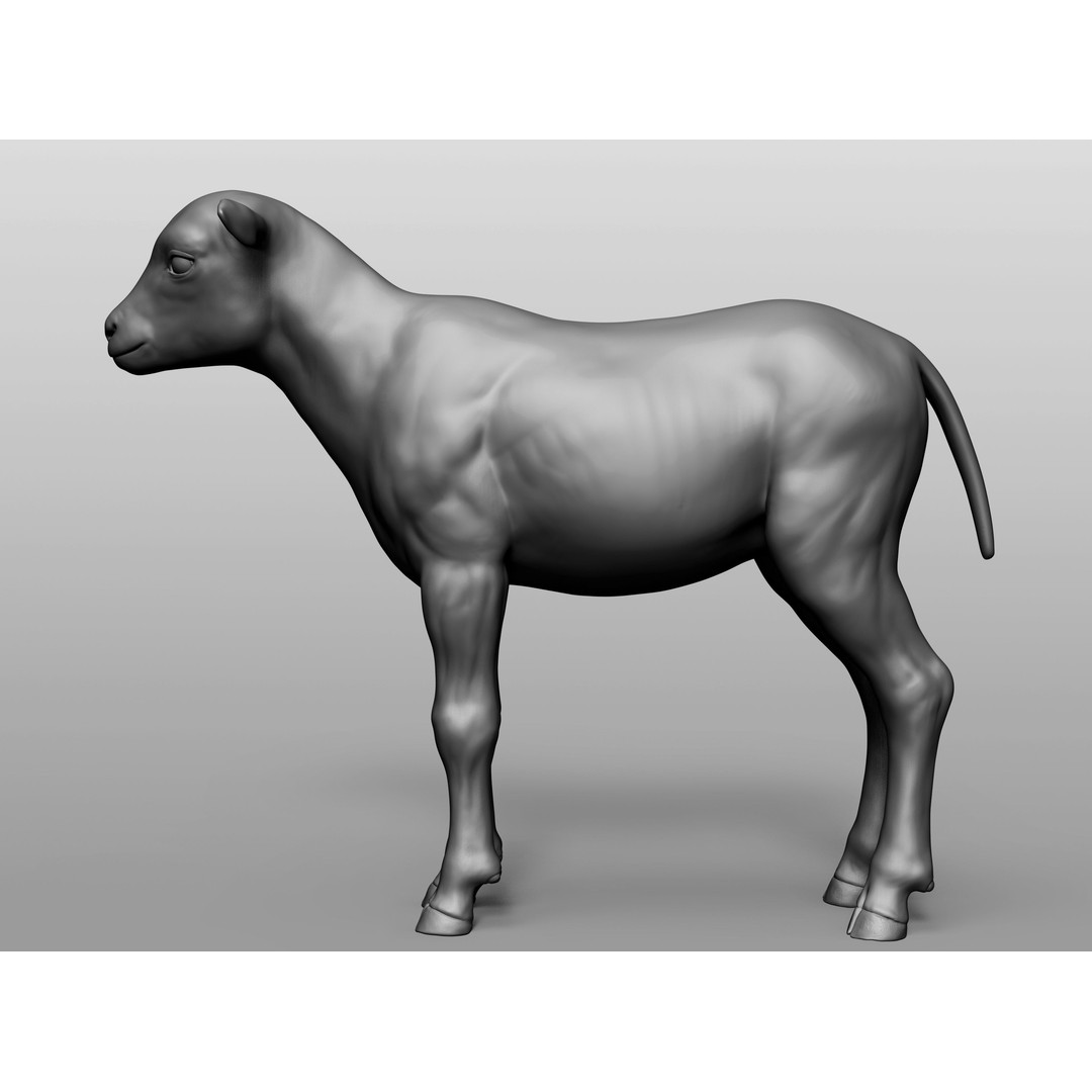 Domestic Baby Animals 3D Model – Realistic Farm Animals, OBJ & ZTL - View 52