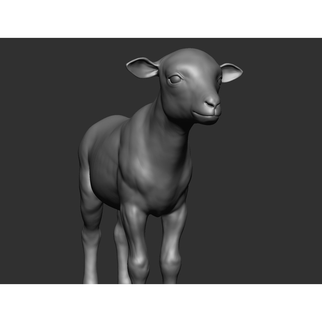 Domestic Baby Animals 3D Model – Realistic Farm Animals, OBJ & ZTL - View 53