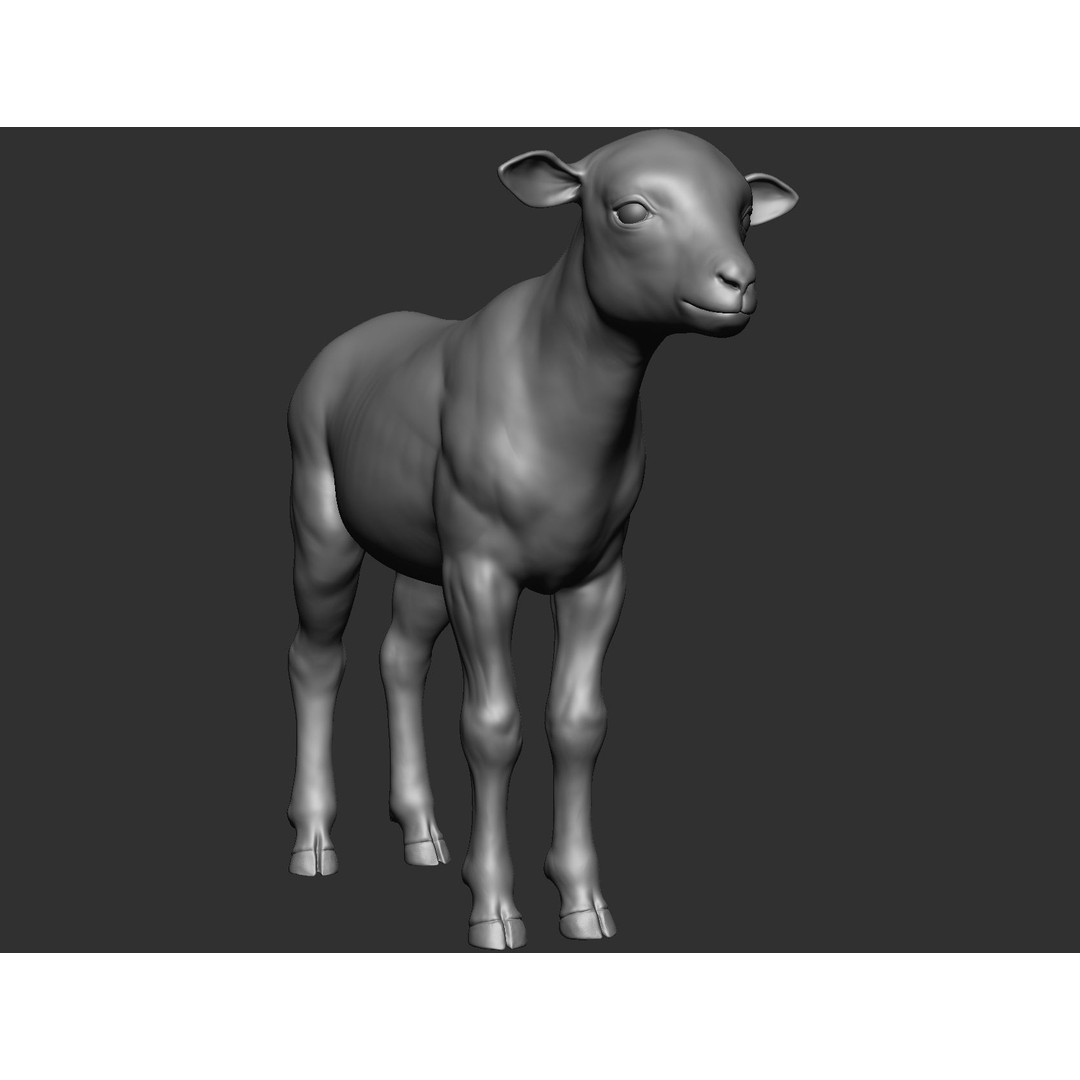 Domestic Baby Animals 3D Model – Realistic Farm Animals, OBJ & ZTL - View 54
